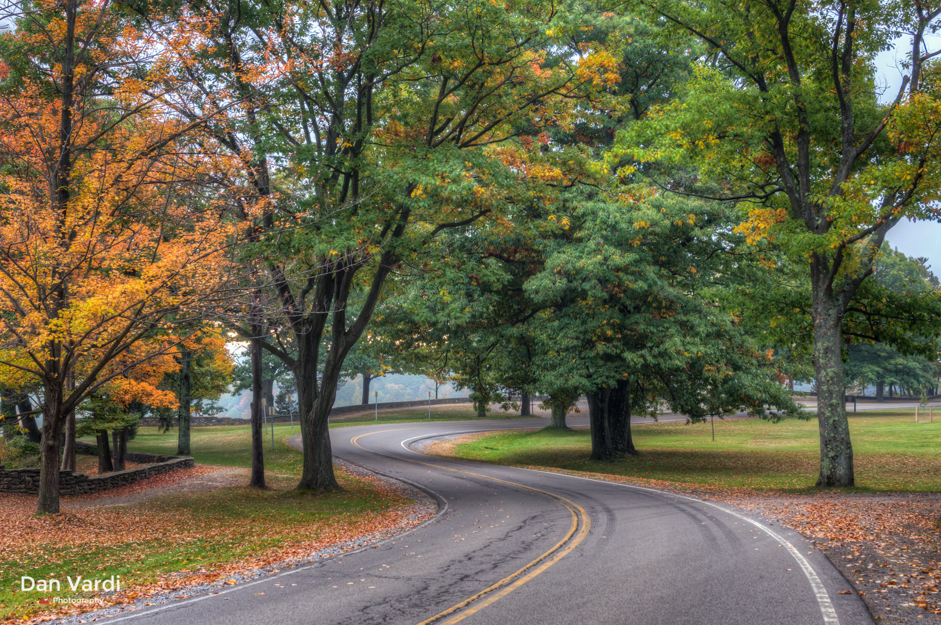 Winding Autumn Road